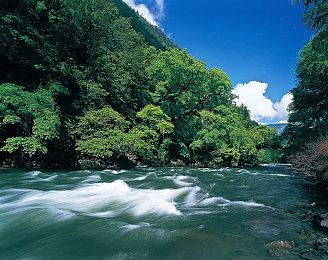 正当防卫开发商：XGP商业模式非常适合我们