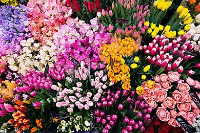 《勇者斗恶龙3：HD-2D重制版》D加密现已移除 维持了半年